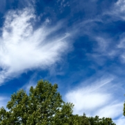 The Sky Was Bluer Today