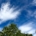 The Sky Was Bluer Today