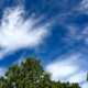 The Sky Was Bluer Today